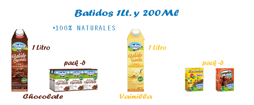 Batido 1 Litro Asturiana